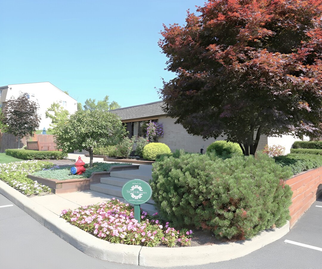 Fenimore Trace Image 4