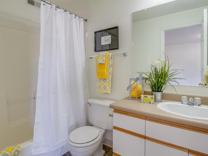 Spring Creek Apartments Image 10