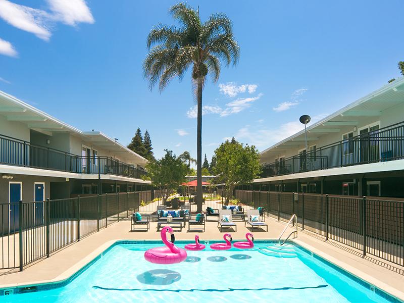 Aloha Apartments Image 13