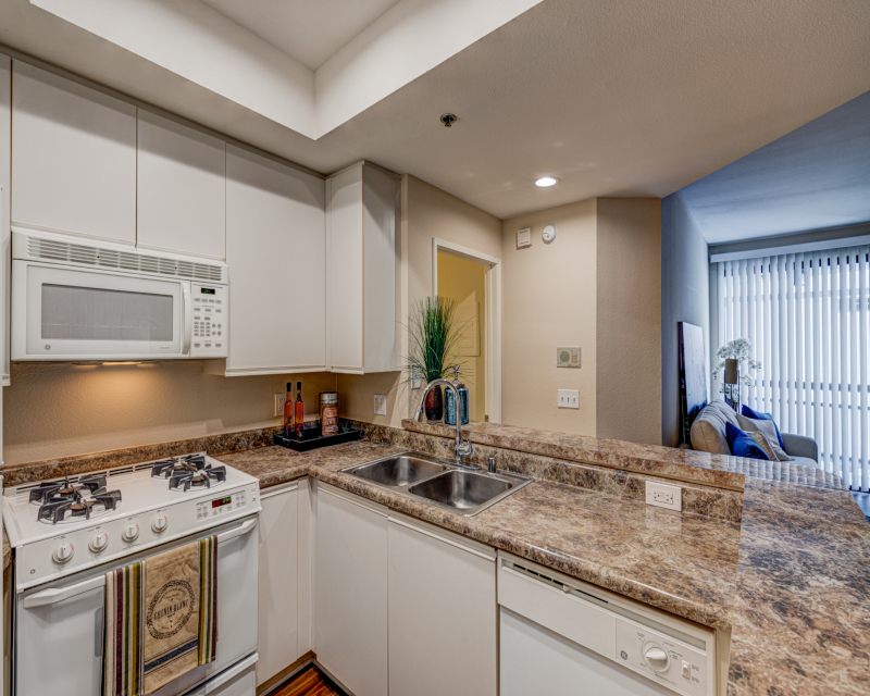 Palm Court Apartments Image 4