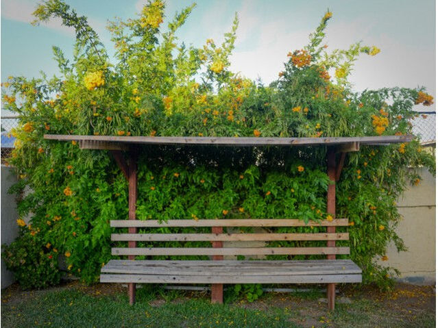 East Bradley Village Image 12