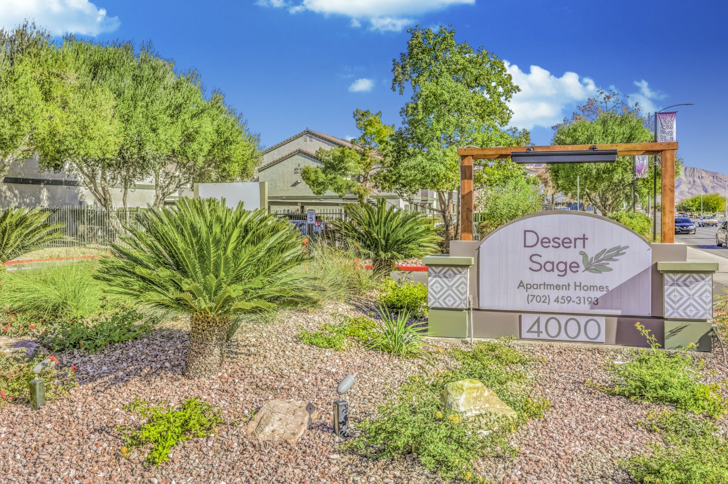 Desert Sage Image 3
