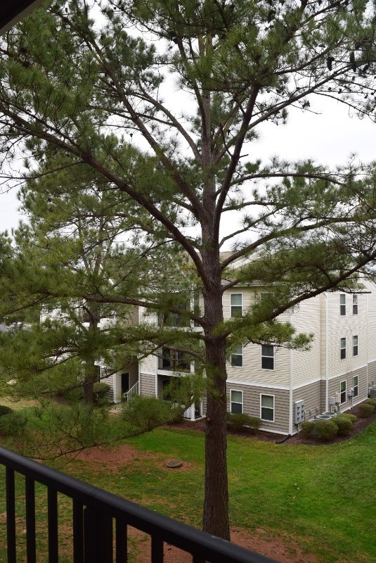 Affordable Housing - Rolling Meadows Image 22