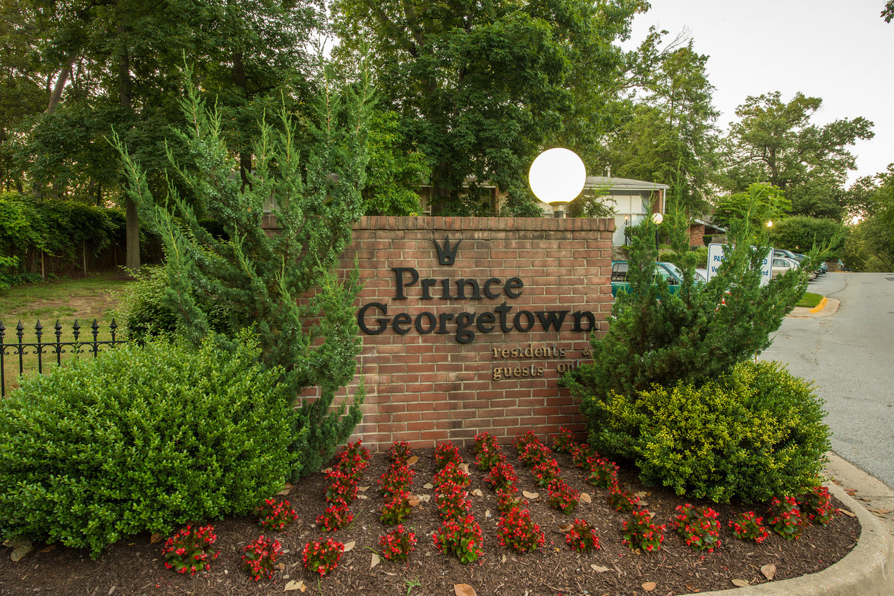 Prince Georgetown Image 8