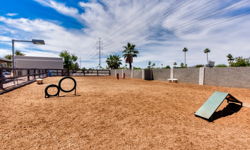 Avana Tempe Image 43