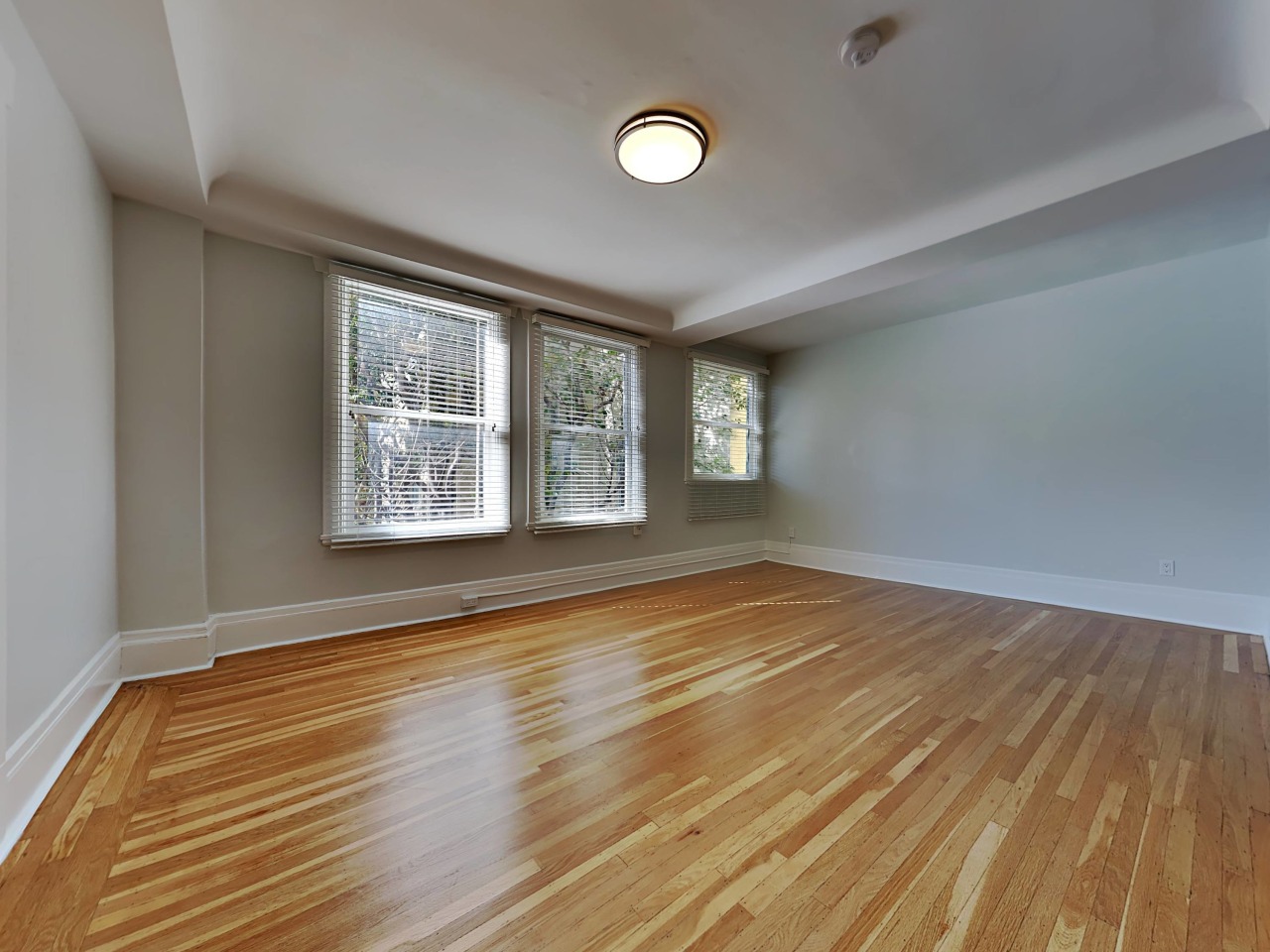 704 Bush St. Image 5