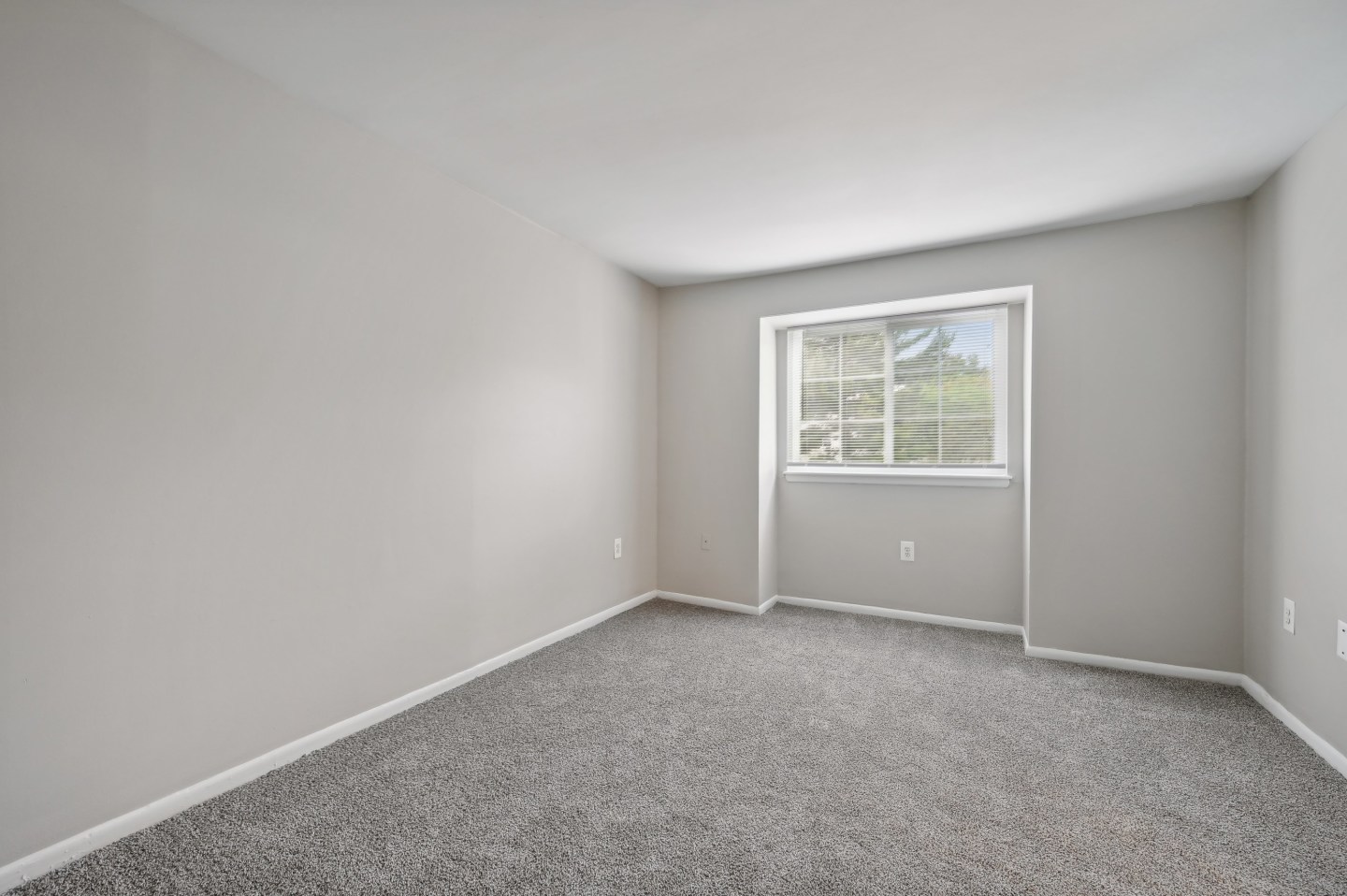 ReNew Odenton Image 36