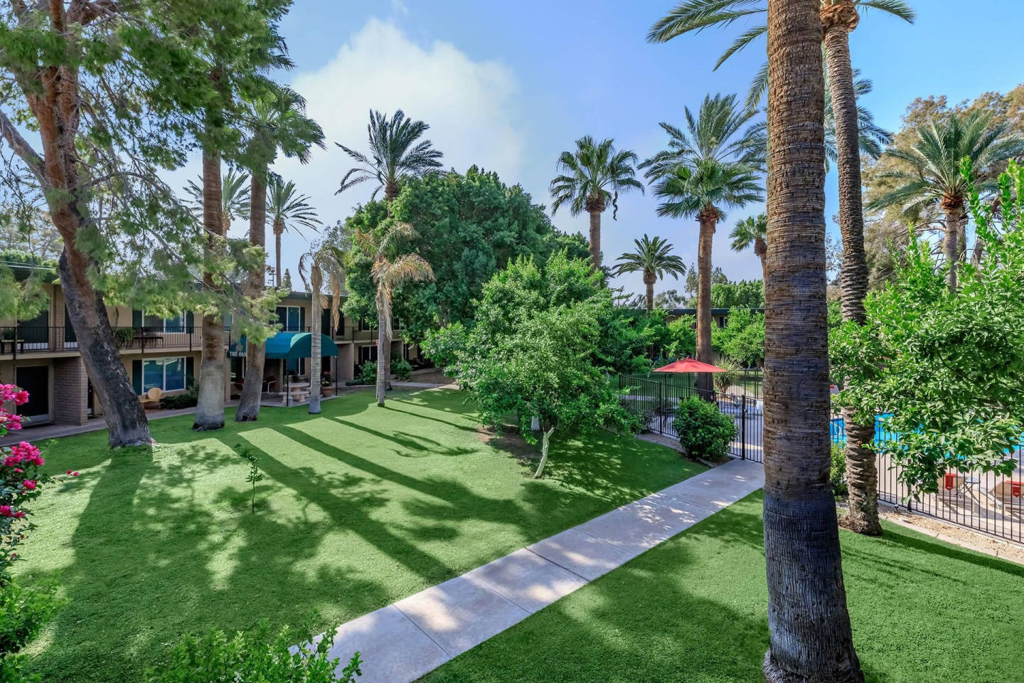 Oasis in the City Image 2