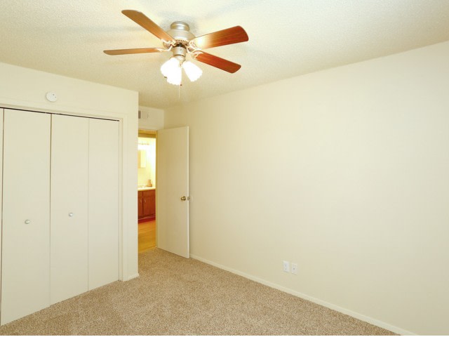 Eagle Rock Image 15