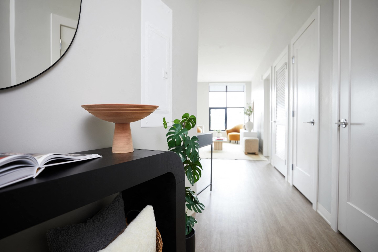 South Standard Image 9