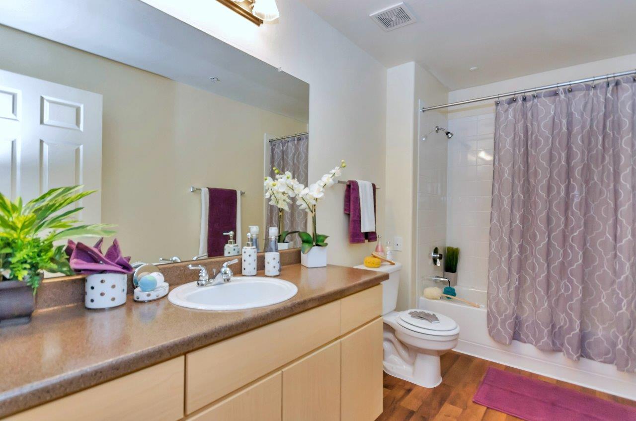 Ventura Vista Image 17
