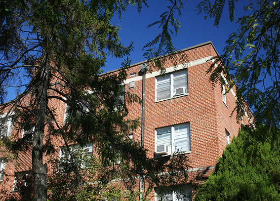 Yuma Gardens Image 6