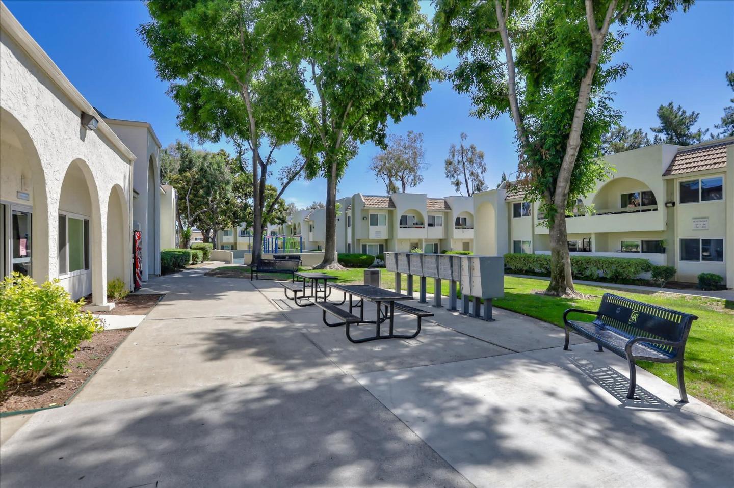 San Jose Greens Image 3
