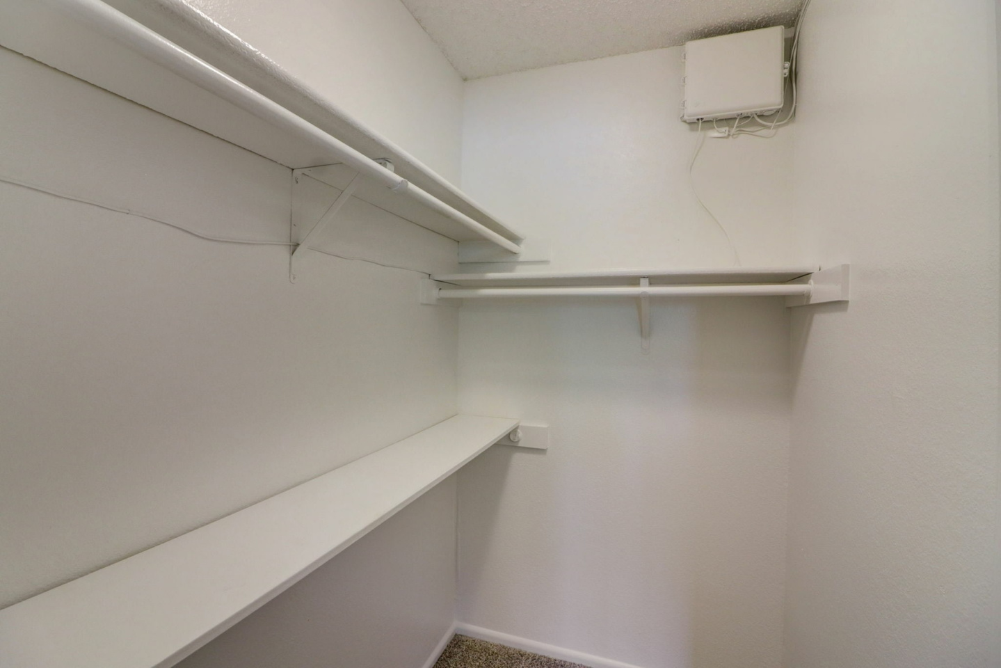 Lakeland Image 17
