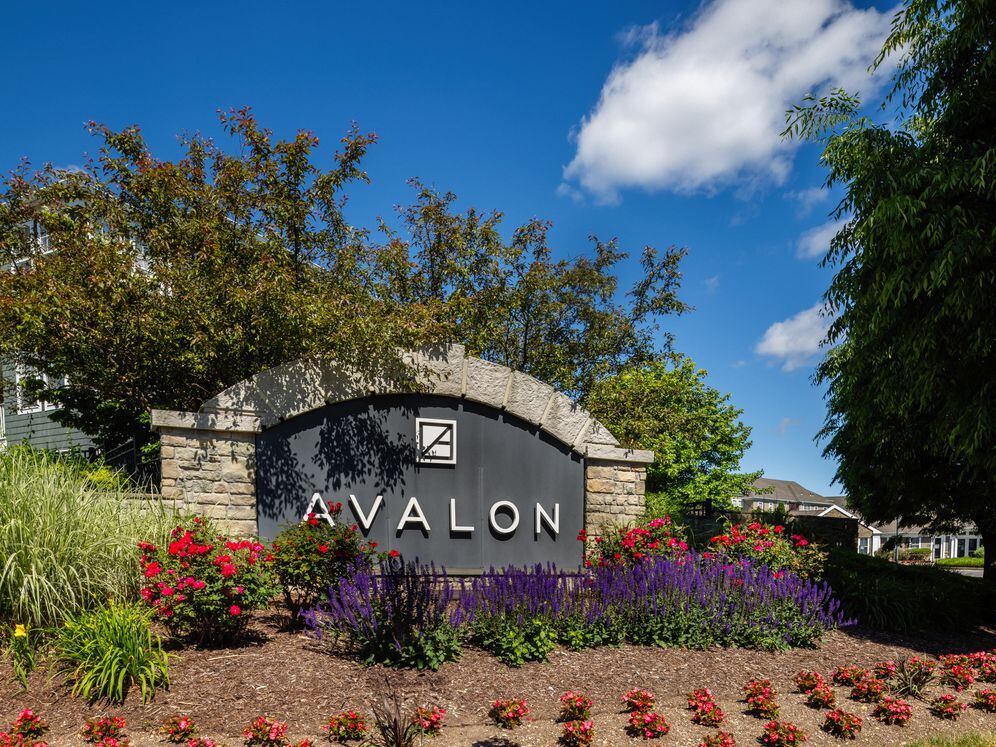 Avalon Westbury Image 17