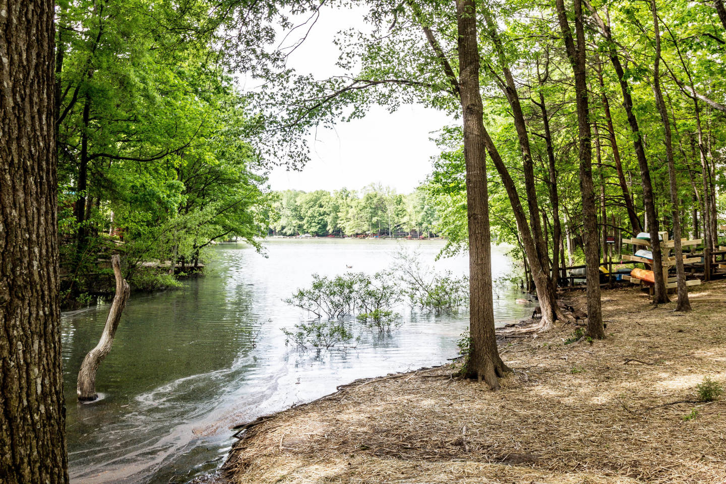 Lakeside Image 11