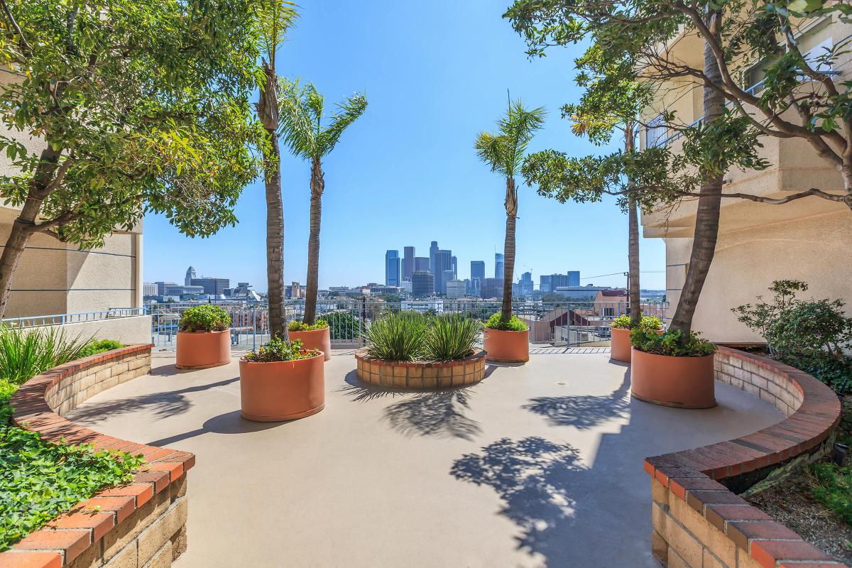 Skyline Terrace Apartments Image 8