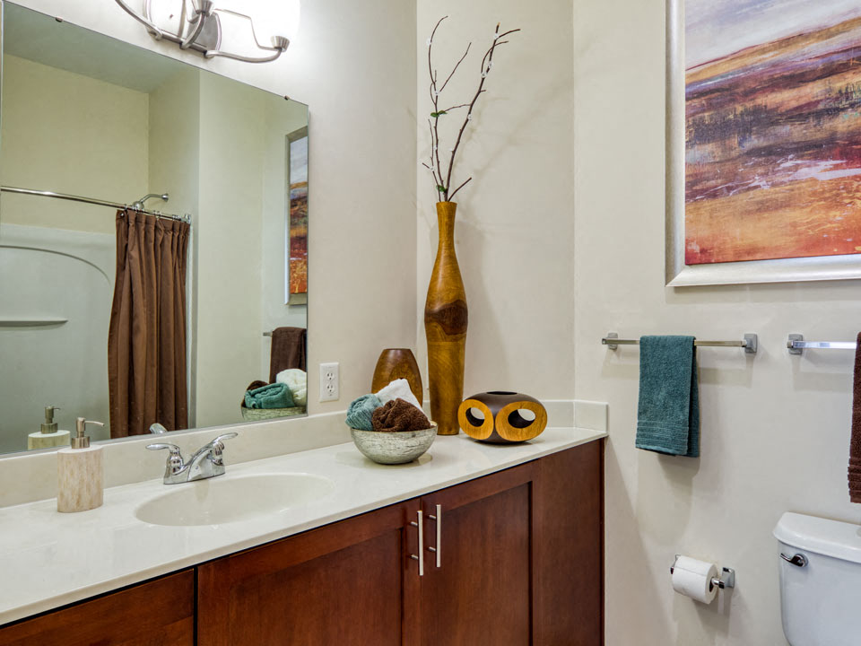 The Chapman at Peninsula Town Center Image 10