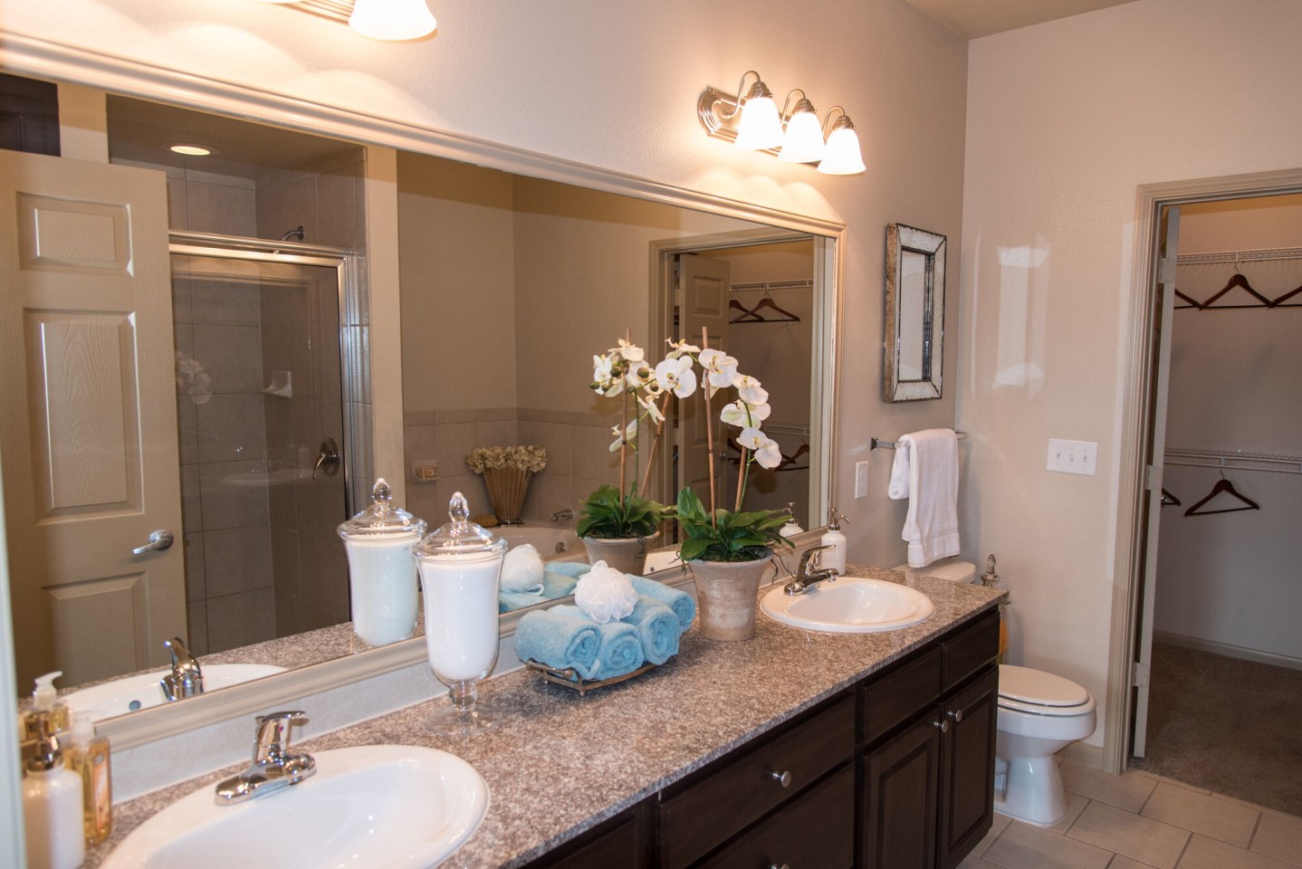 Palms at Cinco Ranch Image 16