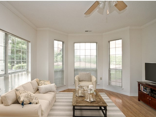 42 Magnolia Image 8