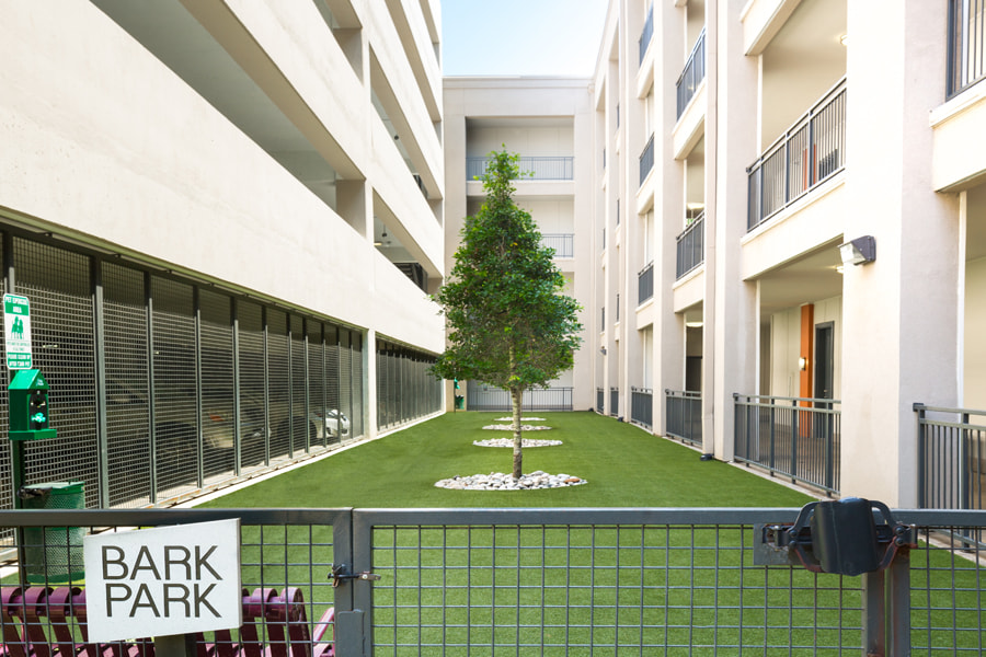Icon at Ross Apartments Image 17