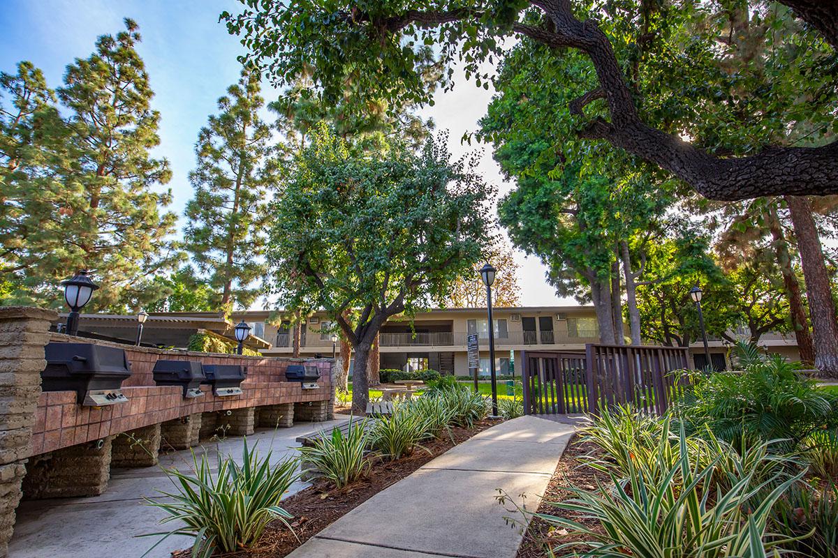 Saddleback Pines Image 14