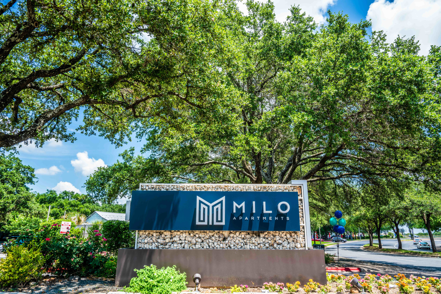 Milo Image 26