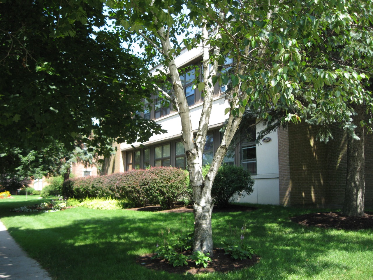 Skidmore Apartments Image 9