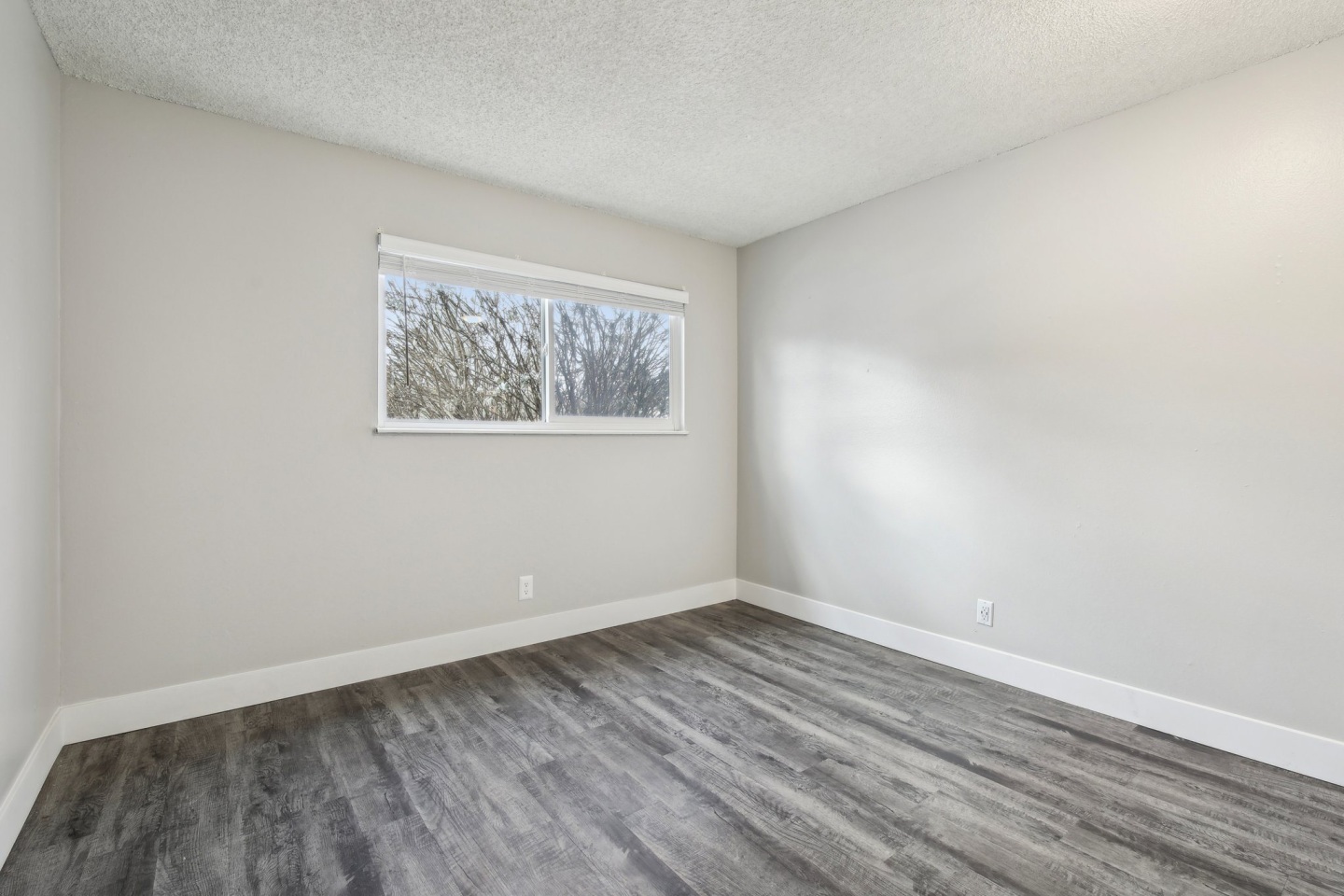 Spyglass Image 60