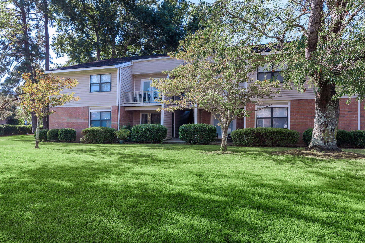 Sawgrass Apartments Image 4