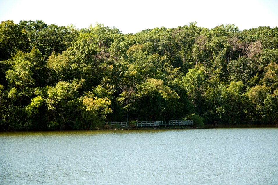 Carver Lake Townhomes Image 14