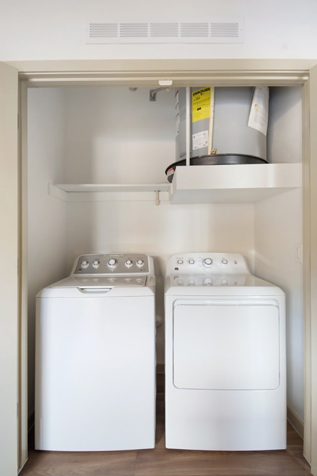 59 Evergreen Image 10
