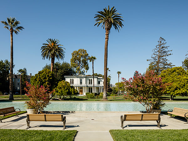 Mansion Grove Image 13