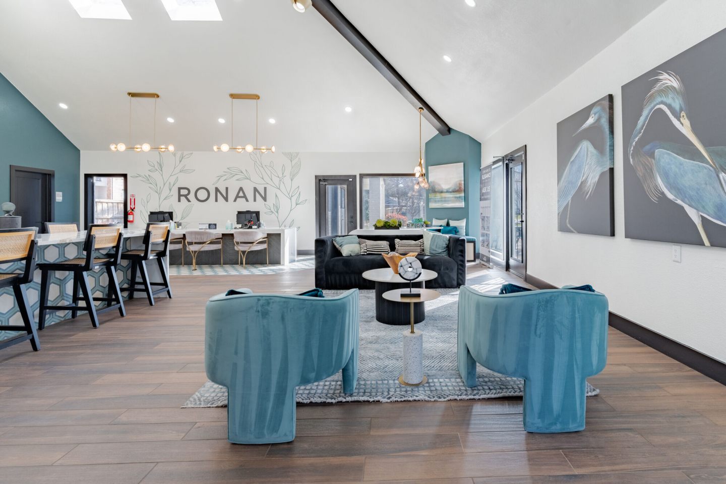 Ronan Image 9