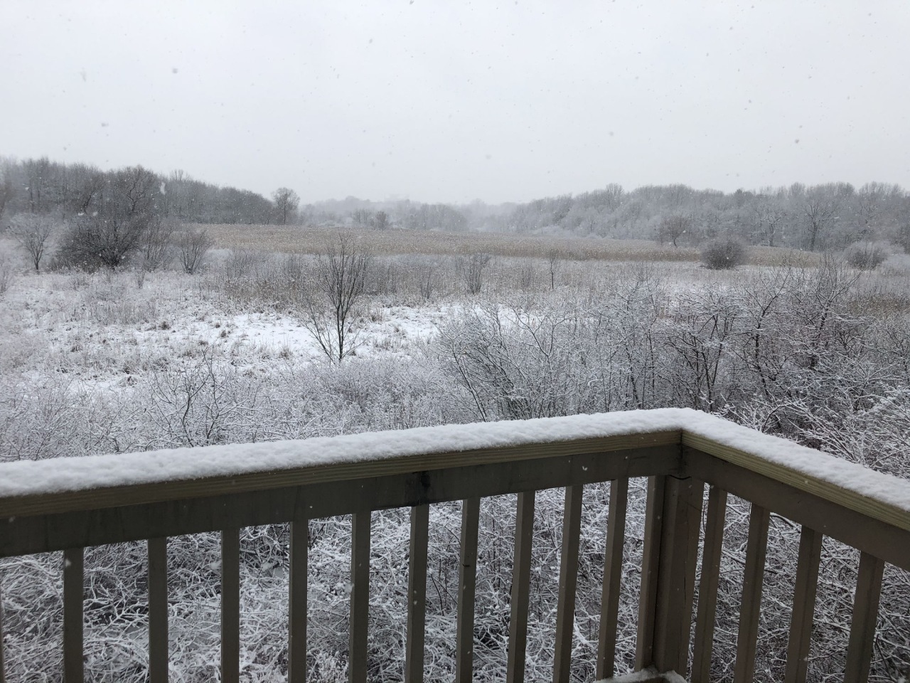 Spring Meadows Image 15