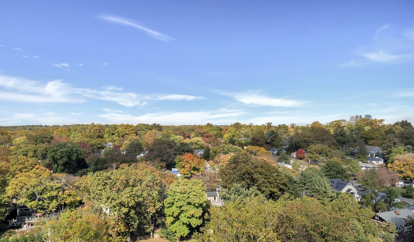 Willard Towers Image 12
