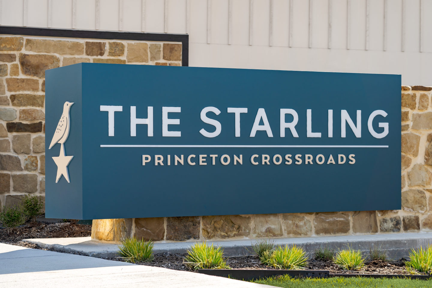 The Starling Image 34