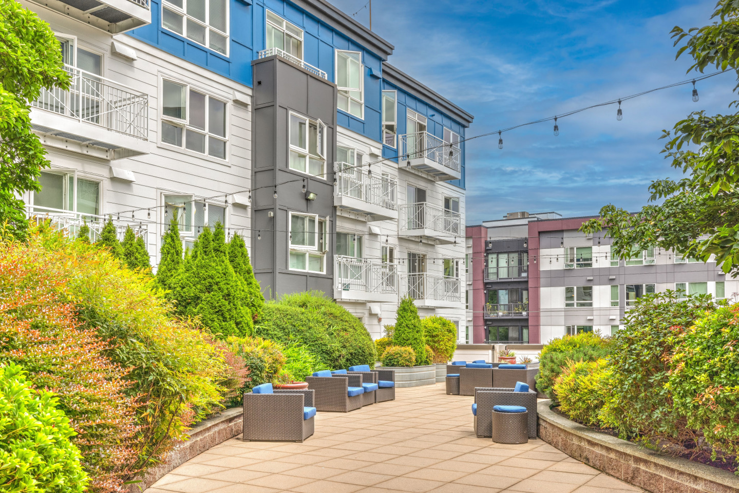 Dexter Lake Union Image 1
