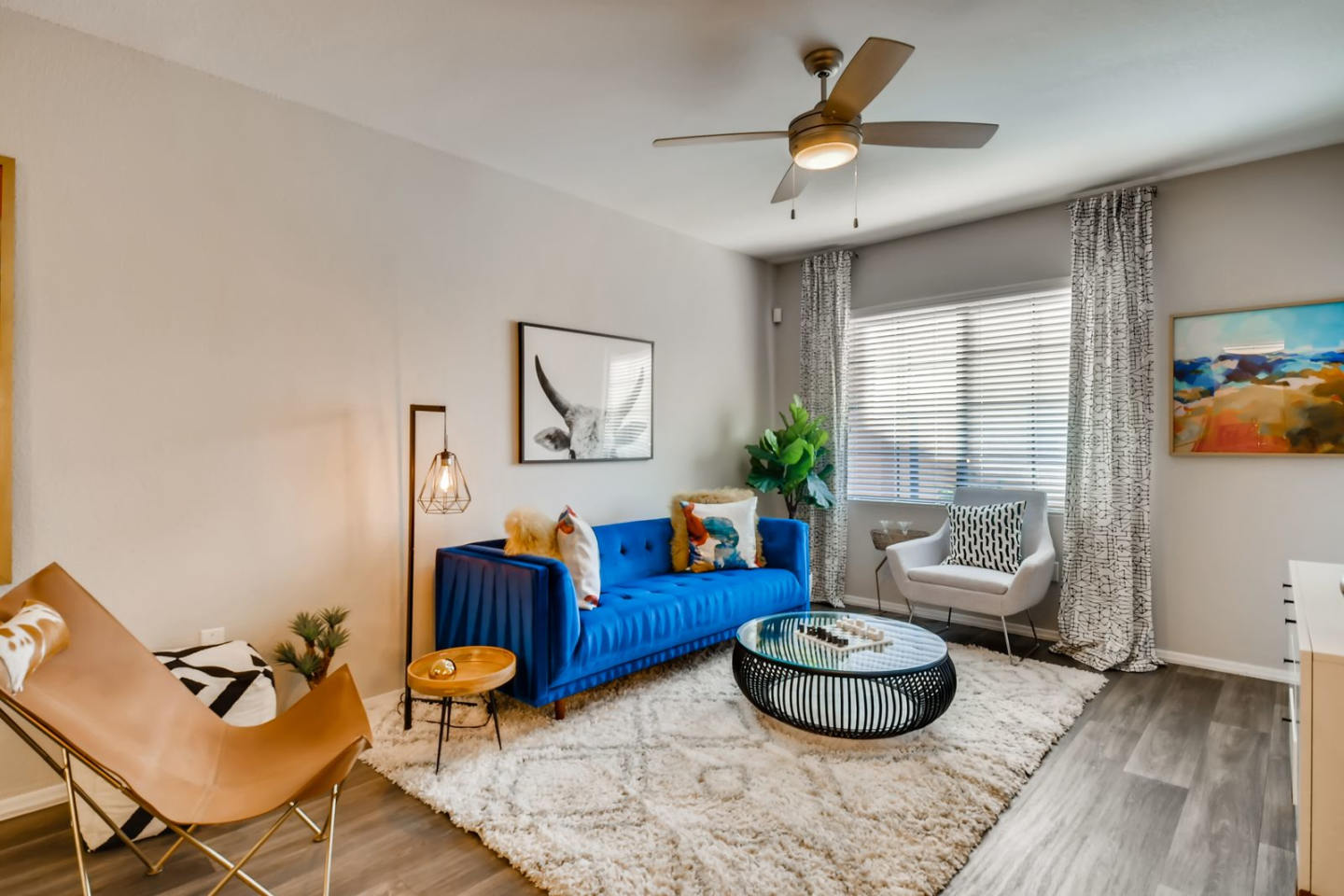 Mandarina Apartment Homes Image 10