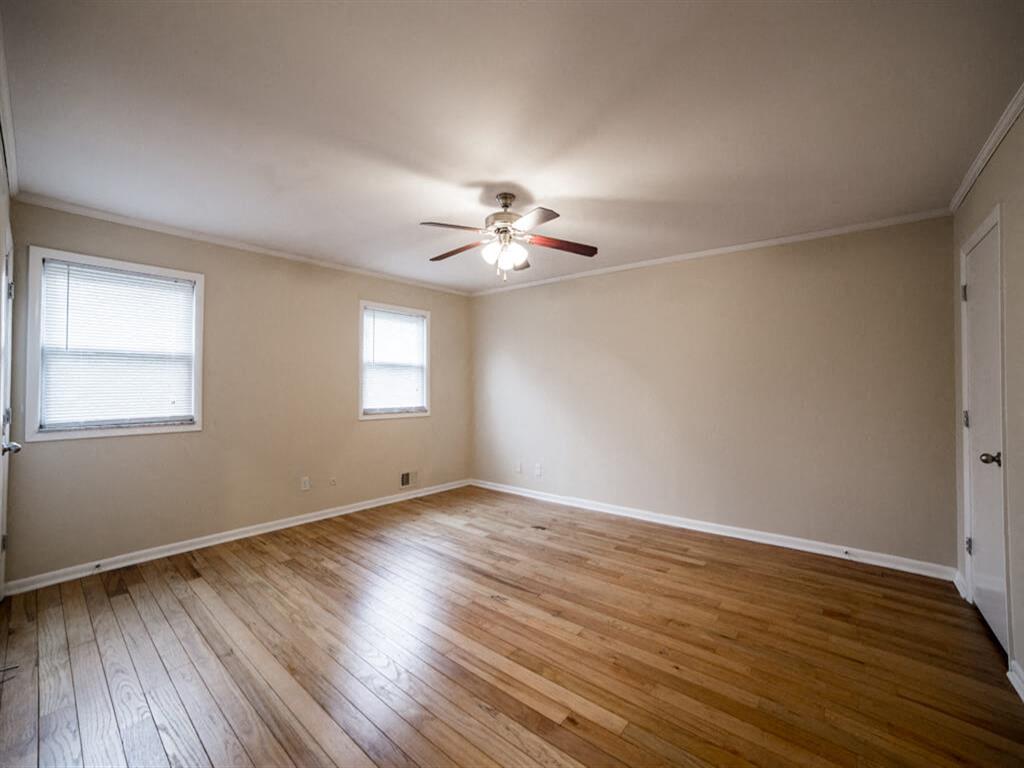 Monon Living Image 76