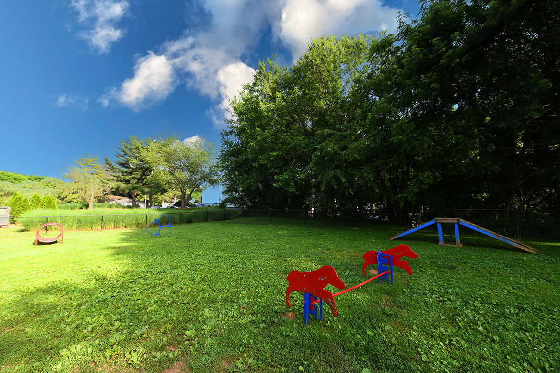 Ascent Apartment Homes Image 11