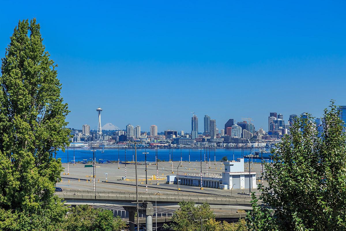 City Views Image 8