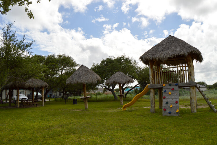 Oasis Image 13