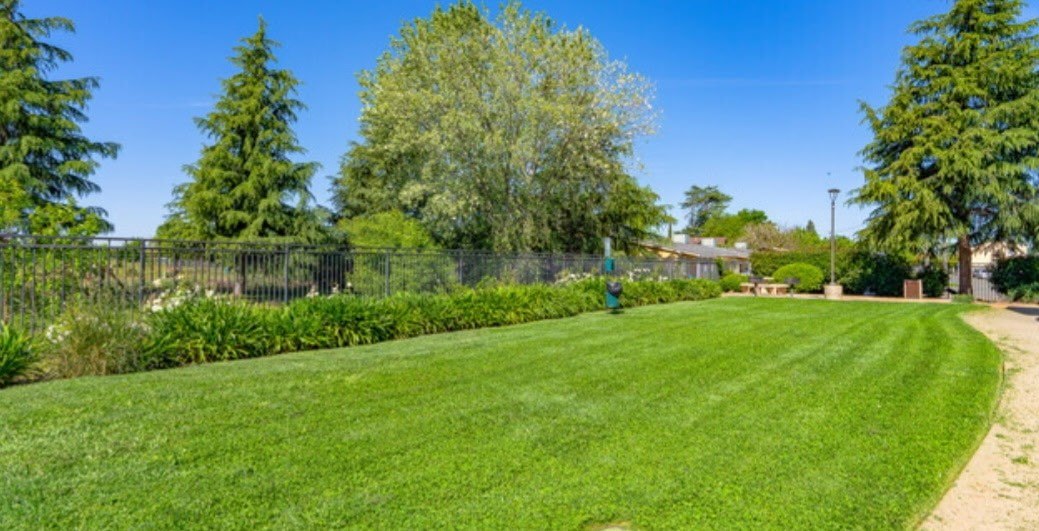 Vineyard Family Apartments Image 3