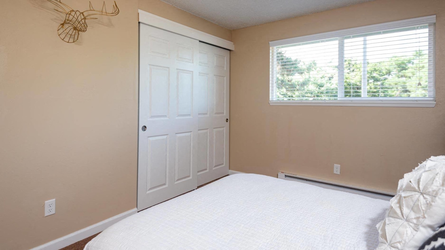 Pinewood Terrace Image 7