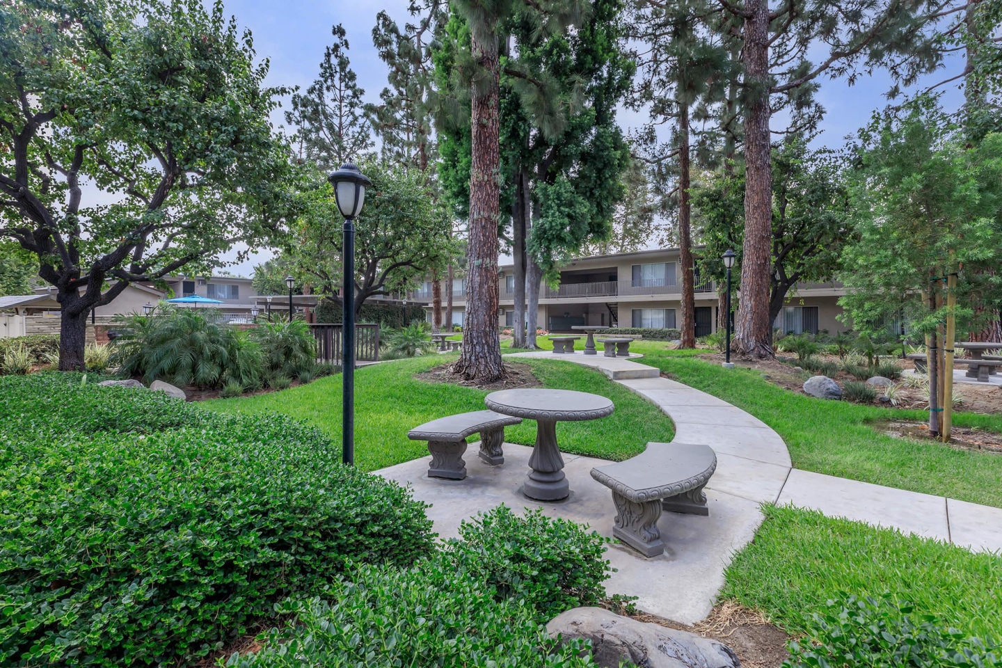Saddleback Pines Image 10