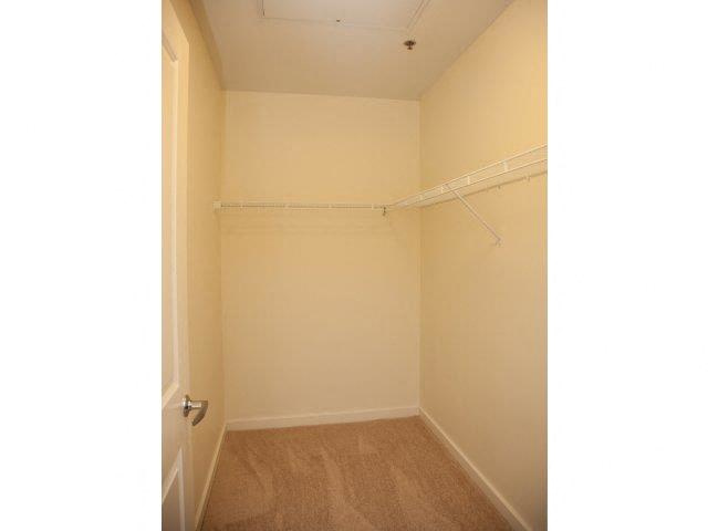 Bienville Basin Image 24