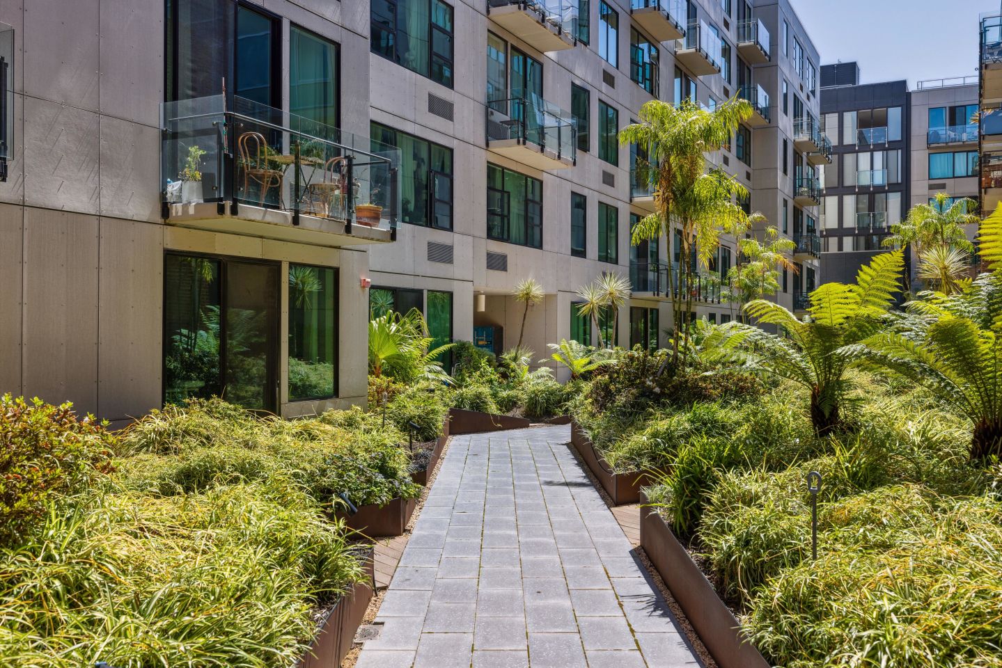Potrero Launch Image 8