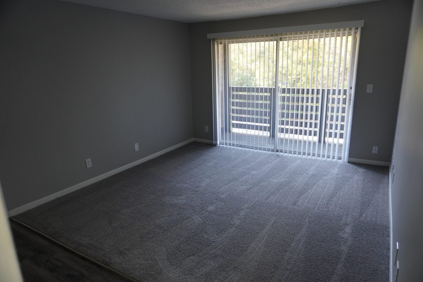 Raintree Apartments Image 13