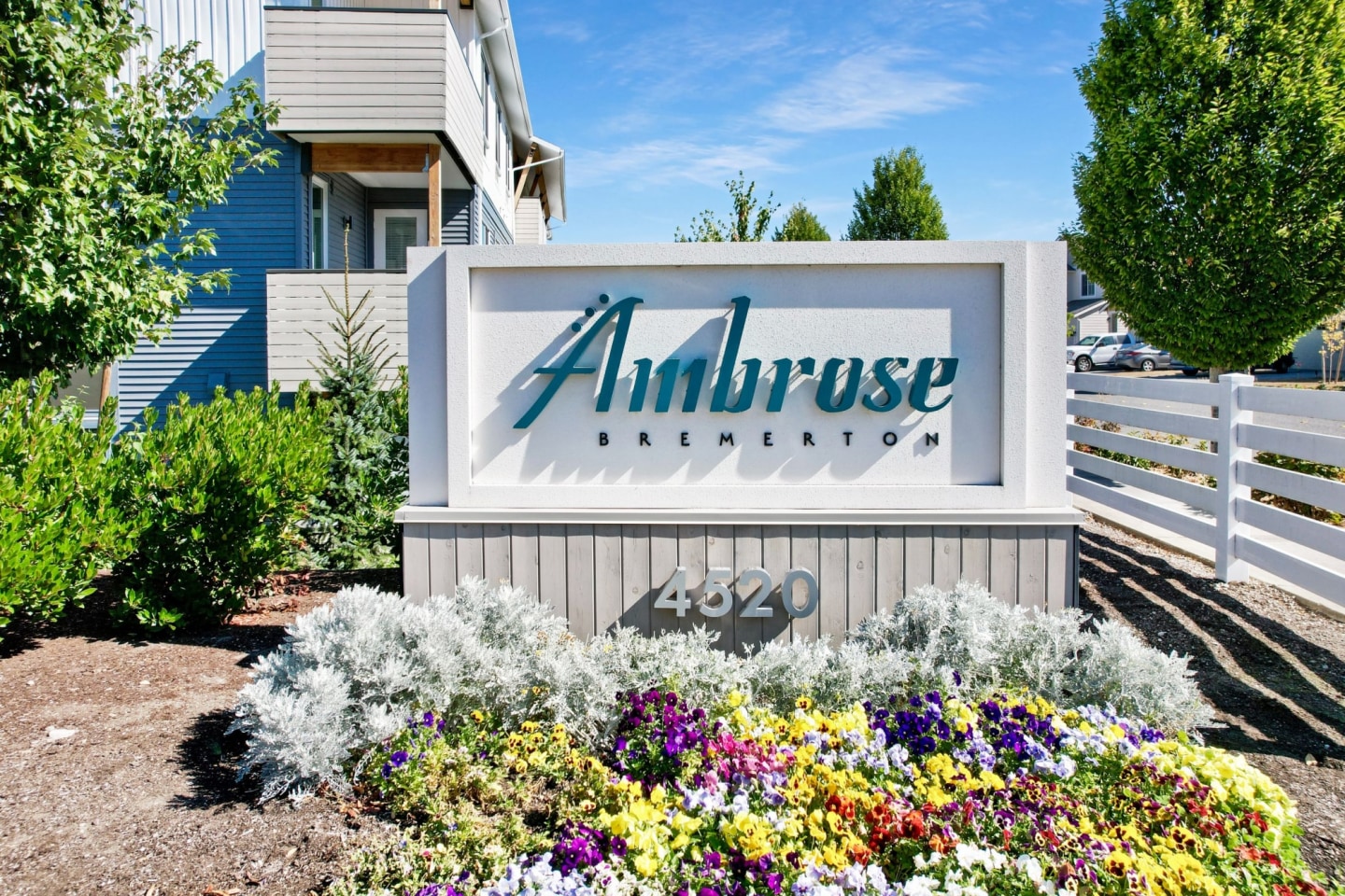 Ambrose Image 26
